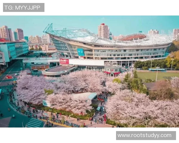 全球足球场球星打卡地推荐打卡攻略必去圣地介绍 全球足球场球星打卡地推荐打卡攻略必去圣地介绍