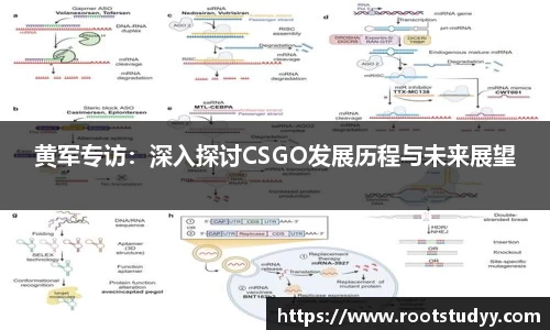 星空·综合体育中国官网