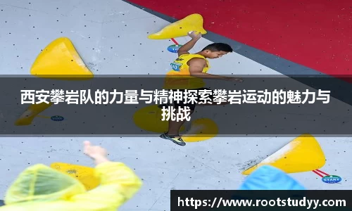 星空·综合体育中国官网