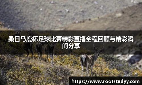星空·综合体育官方网站